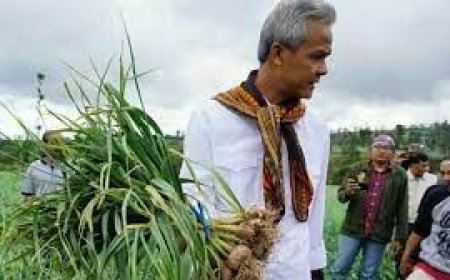 Jadi Program Prioritas, Ganjar Akan Buat Satu Data Pertanian untuk Sejahterakan Petani Indonesia