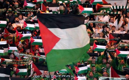 Bendera Palestina Boleh Berkibar di Piala Dunia U-17? Begini Kata PSSI