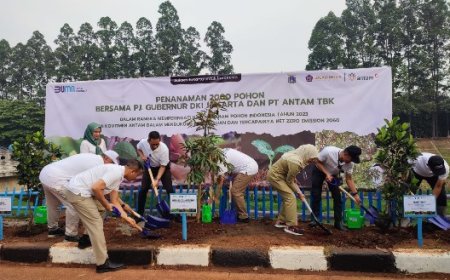 Menuju Net Zero Emission, 2000 Pohon Disebar Dan Ditanam Di Wilayah Jakarta TImur di Hari Menanam Pohon Indonesia