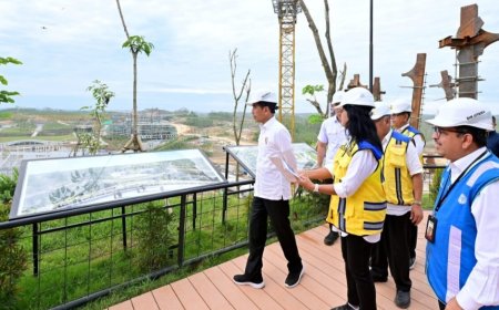 Presiden Jokowi Tinjau Kantor Presiden di IKN, Progres Pembangunan Capai 74 Persen