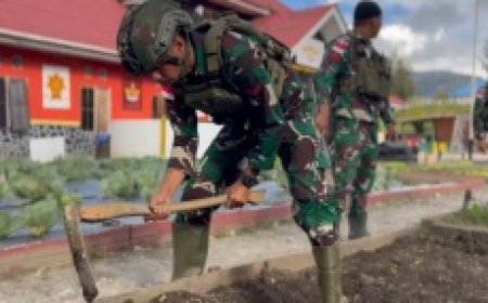 Satgas Yonif 509 Kostrad Tanam Sayur dan Tabur Benih Ikan Lele Di Papua