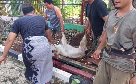 Keseruan Jemaah Masjid Al Muhajirin Rayakan Idul Adha