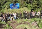 Operasi di Ketinggian 1.800 MDPL, BNN Aceh Temukan 12 Hektare Ladang Ganja