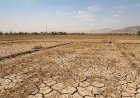 BMKG Beri Peringatan Dini: El Niño Kuat Picu Kekeringan Ekstrem Meluas di Indonesia