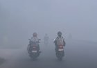 Langit Kalimantan Meredup, Kabut Asap Karhutla Mulai Cekik Kesehatan Anak-Anak