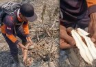 Momen Unik Pemadam Kebakaran Temukan Singkong Siap Makan di Lokasi Karhutla