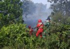 Perjuangan Manggala Agni dan TNI Jinakkan Bara Api Karhutla di Lahan Kering