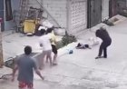 Tragis! Bocah Kelas 3 SD di Bandung Alami Luka Berat di Kepala Usai Diserang Pitbull