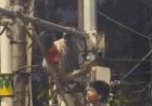 Identitas Pelaku Dikantongi, Pemprov DKI Buru Perusak CCTV Pejompongan