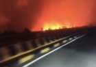 Karhutla Melanda Tumbang Nusa Kalimantan Tengah, Jalur Vital Trans-Kalimantan Mencekam