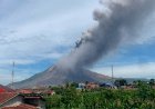 Sinabung Kembali Membara: Status Naik Jadi Siaga Setelah Muntahkan Abu 3,5 KM