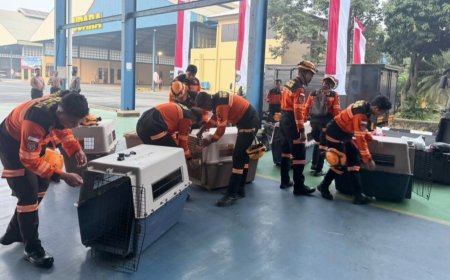 Polri Kirim Tim K9 ke Gempa NTT, Cari Korban di Medan Sulit