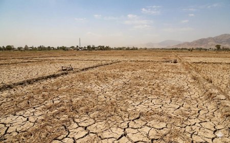 BMKG Beri Peringatan Dini: El Niño Kuat Picu Kekeringan Ekstrem Meluas di Indonesia