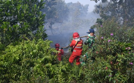 Perjuangan Manggala Agni dan TNI Jinakkan Bara Api Karhutla di Lahan Kering
