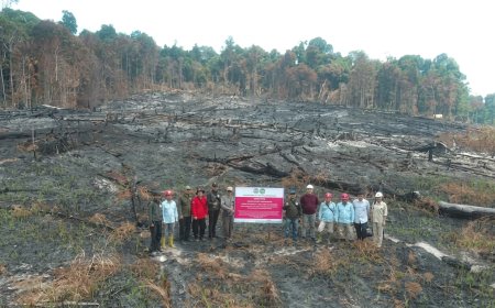 Kemenhut Jatuhkan Sanksi 6 Perusahaan Terkait Karhutla, Hingga Pembekuan Perizinan Berusaha