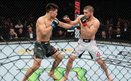 UFC Shanghai: Pukulan Telak Song Yadong Hancurkan Umar Nurmagomedov Lewat KO Ronde Kedua
