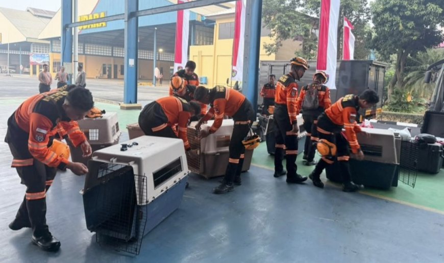 Polri Kirim Tim K9 ke Gempa NTT, Cari Korban di Medan Sulit