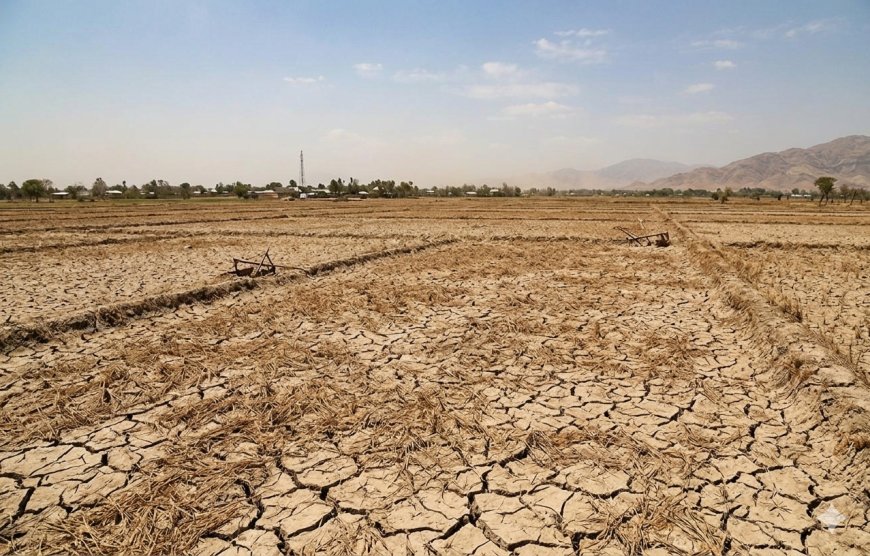 BMKG Beri Peringatan Dini: El Niño Kuat Picu Kekeringan Ekstrem Meluas di Indonesia
