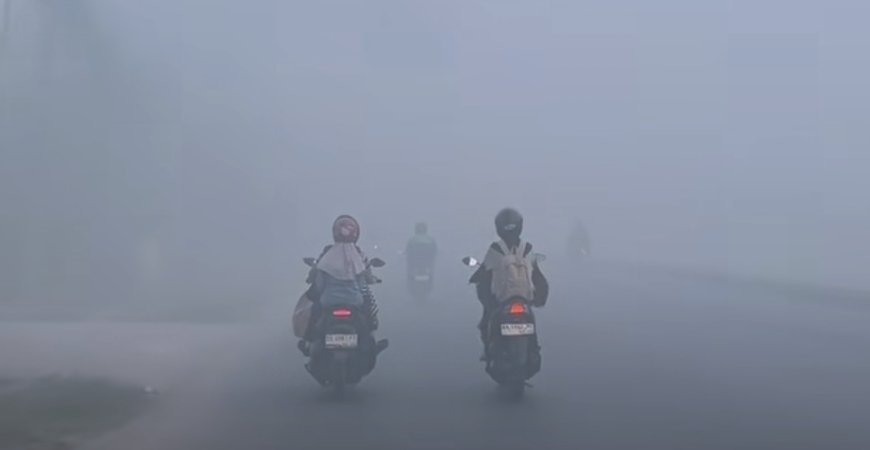 Langit Kalimantan Meredup, Kabut Asap Karhutla Mulai Cekik Kesehatan Anak-Anak