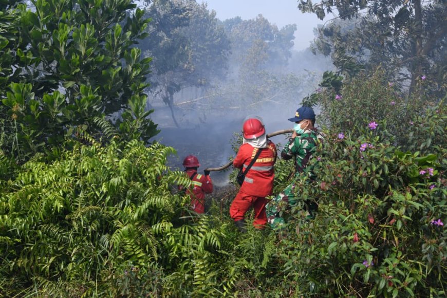 Perjuangan Manggala Agni dan TNI Jinakkan Bara Api Karhutla di Lahan Kering