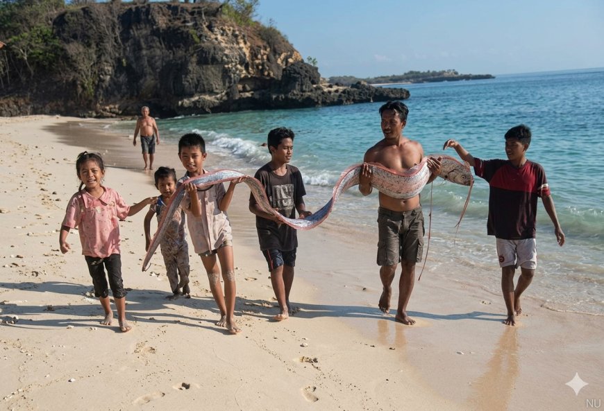 Viral! Ikan Purba Oarfish Terdampar di Pantai Pink Lombok, Simak Fakta dan Penjelasan Ilmiahnya