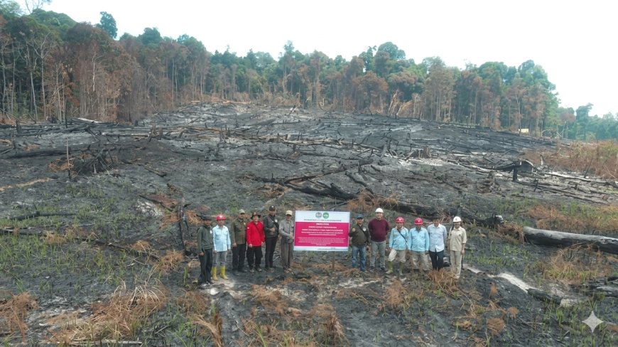 Kemenhut Jatuhkan Sanksi 6 Perusahaan Terkait Karhutla, Hingga Pembekuan Perizinan Berusaha