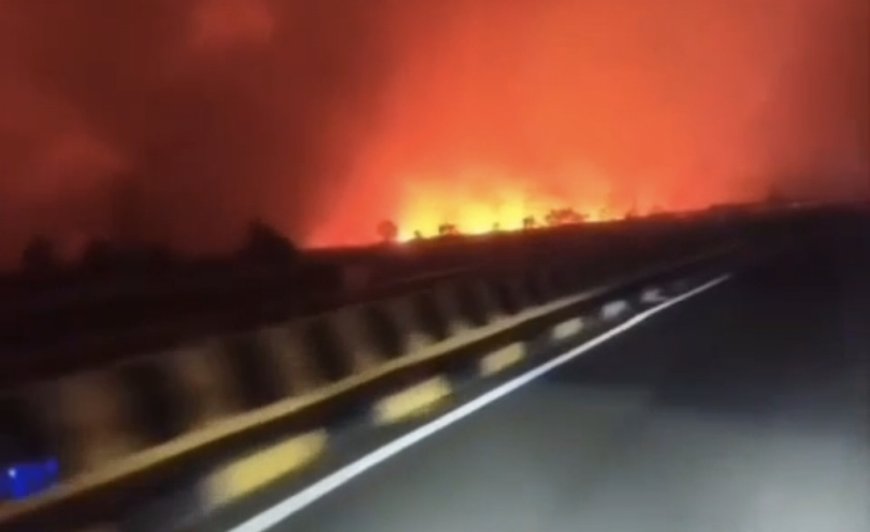 Karhutla Melanda Tumbang Nusa Kalimantan Tengah, Jalur Vital Trans-Kalimantan Mencekam
