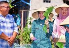 Patut Ditiru, Para Ibu di Cigugur Tengah Cimahi Jadi Ujung Tombak Ketahanan Pangan Keluarga