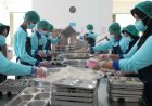 Tidak Penuhi SLHS, BGN Kembali Suspend 1.276 SPPG dan Usulkan Penutupan Ratusan Lainnya