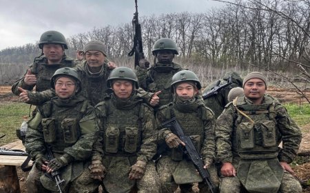 WNI Diduga Direkrut Jadi Tentara Rusia, Dasco Ungkap Modusnya