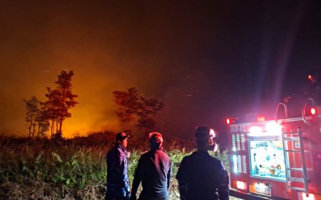 Satgas Karhutla Lanud Iskandar Tangani Kebakaran Hutan dan Lahan di Kotawaringin Barat