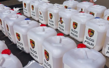 Polri Gerak Cepat Dukung Pemadaman Karhutla Sumsel dengan Formula X-Fire