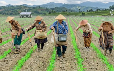 RUU Reforma Agraria Inisiatif DPR Akan Jadi Ujung Tombak Selesaikan Persoalan Tanah