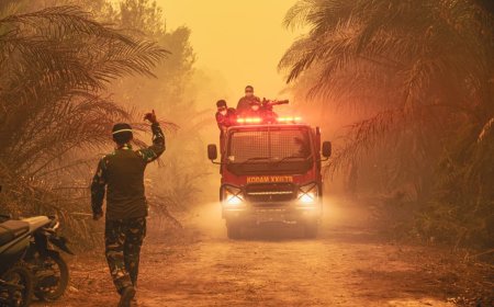 Korpasgat TNI AU Deteksi Titik Api dari Udara, Lanjutkan Pemadaman di Medan Sulit