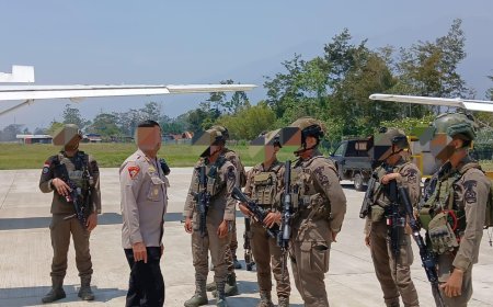 Penembakan 3 ASN di Jayawijaya, Satgas Damai Cartenz Identifikasi Dua Pelaku yang Masuk ke Dalam DPO