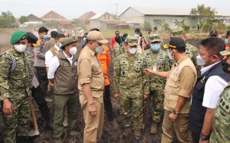 Karhutla Sumsel: Menko Polkam dan Kepala BNPB Cek Langsung Operasi Pemadaman