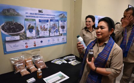 Rumput Laut Hanya Diekspor Mentah, Titiek Soeharto Minta Hilirisasi Sampai Produk Akhir