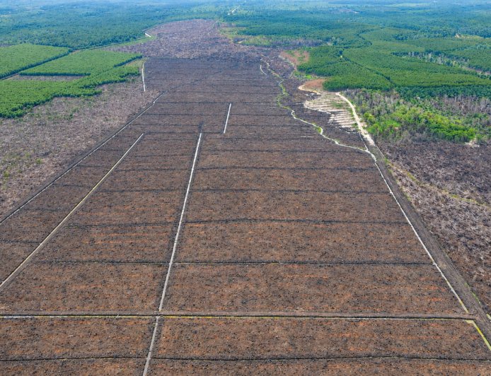 WALHI: Menteri ATR/BPN Harus Tindak Tegas Korporasi dan Jalankan Reforma Agraria