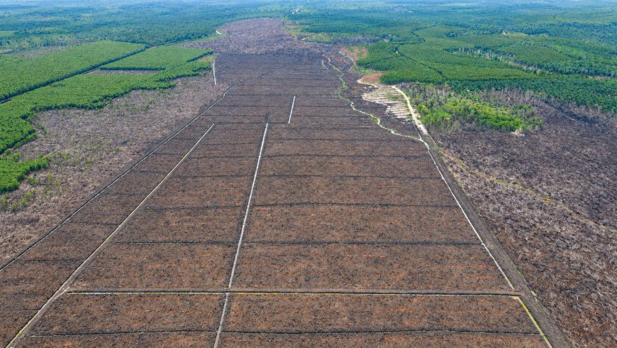 WALHI: Menteri ATR/BPN Harus Tindak Tegas Korporasi dan Jalankan Reforma Agraria
