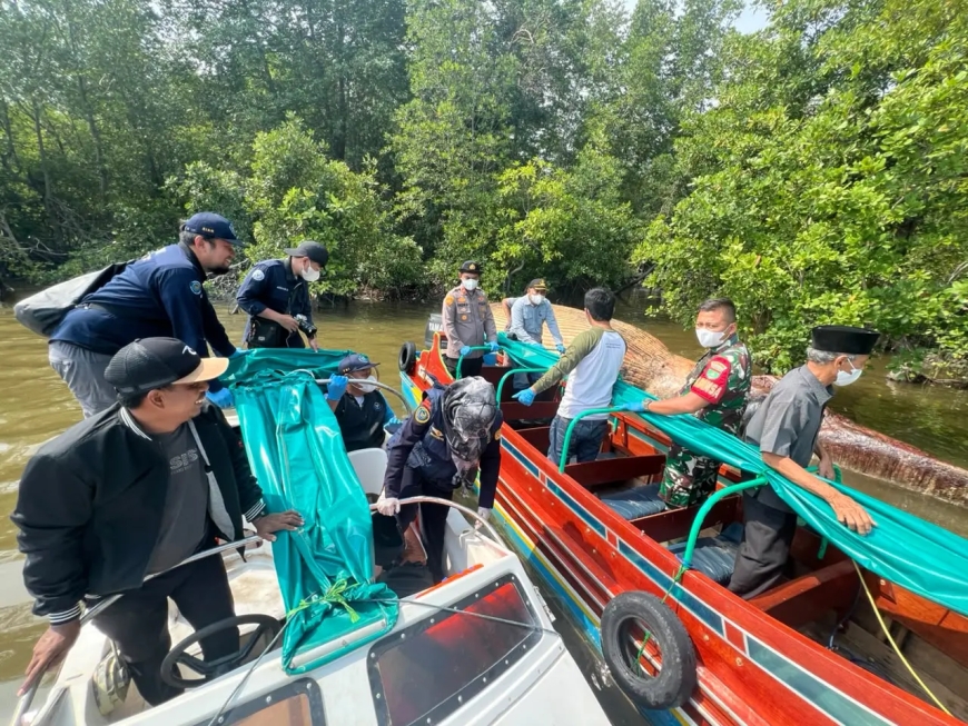 Tim KKP Evakuasi Diduga Bangkai Paus di Perairan Sungai Bahale Mandah