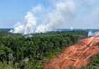 Benteng Terakhir Iklim Dikepung Api, Perparah Krisis Ekologis Papua