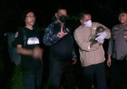 Polisi Selamatkan Induk dan Anak Orang Utan Terdampak Karhutla di Kalimantan Tengah
