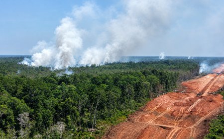 Benteng Terakhir Iklim Dikepung Api, Perparah Krisis Ekologis Papua