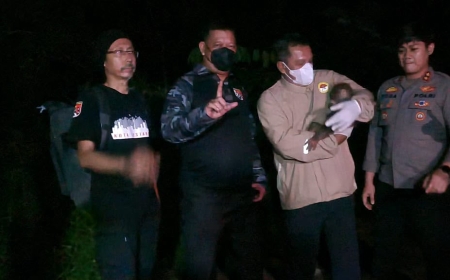 Polisi Selamatkan Induk dan Anak Orang Utan Terdampak Karhutla di Kalimantan Tengah