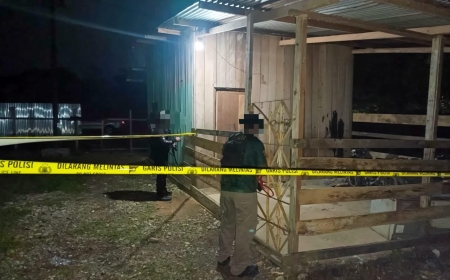 Polisi Selidiki Penganiayaan Berat Tenaga Honorer RSUD Dekai, Dugaan Keterlibatan KKB Didalami